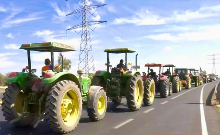 WhatsApp Image 2025-12-04 at 1.37.31 PM