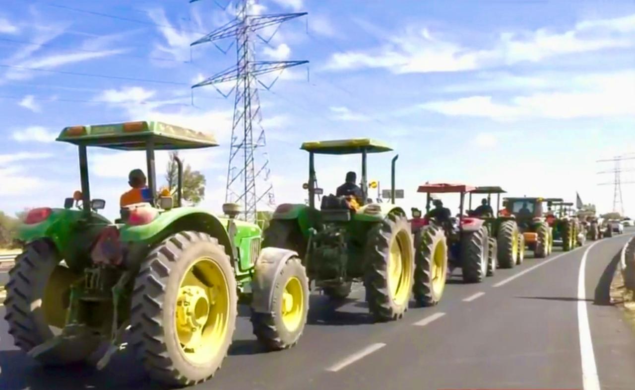 WhatsApp Image 2025-12-04 at 1.37.31 PM